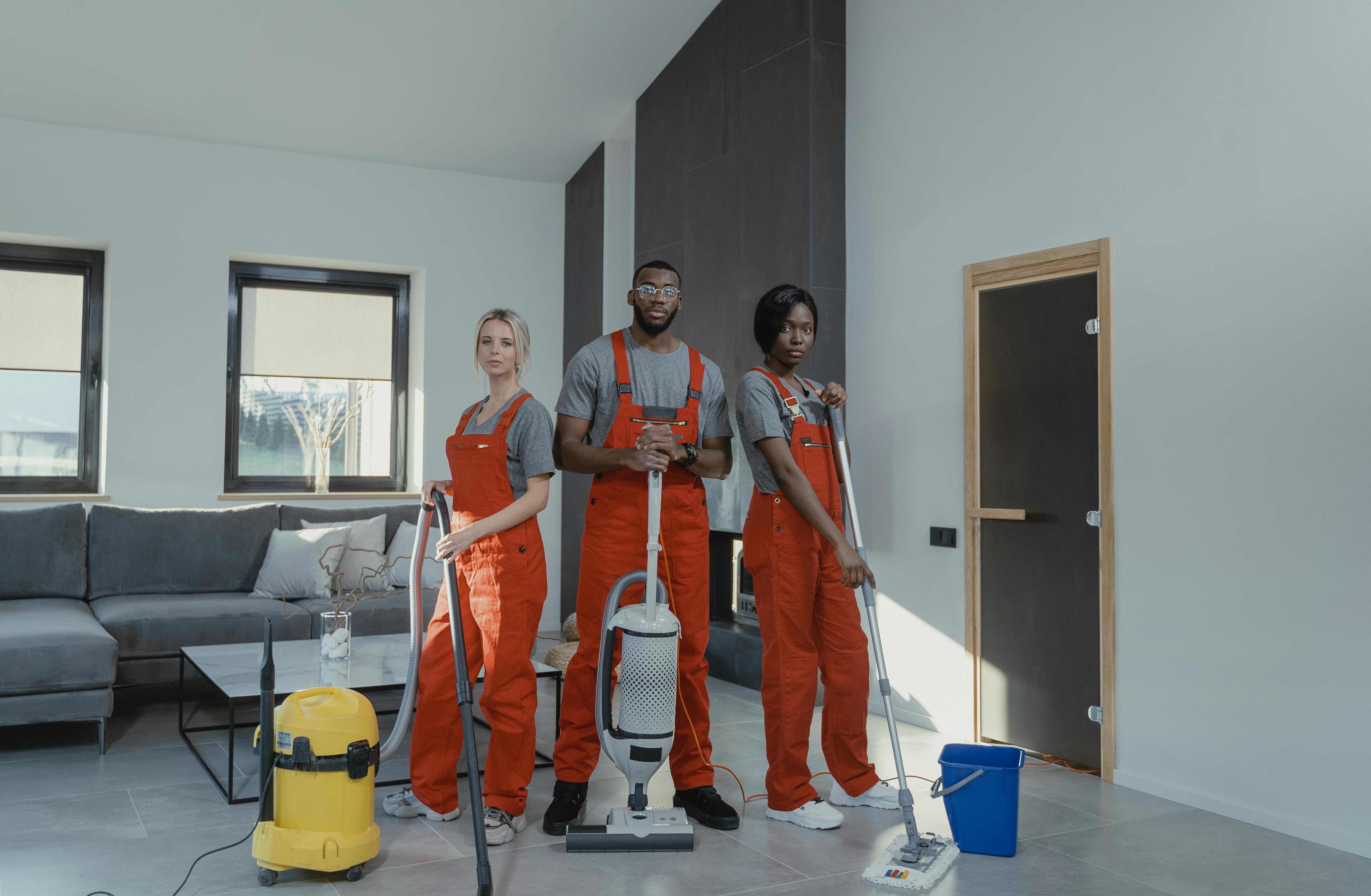 Professional cleaning service 2